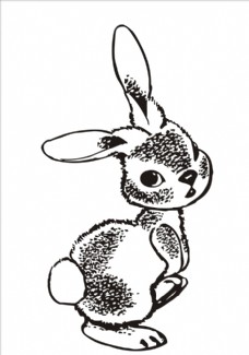 小白兔矢量素材