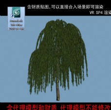树木代理树