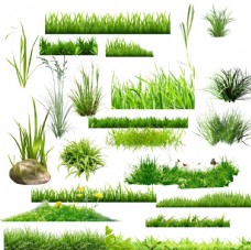 PSD分层素材绿草草丛素材分层