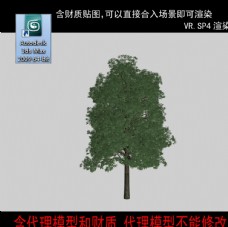 树木树模型