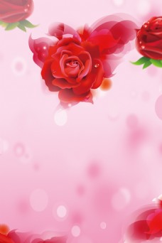 唯美清新红色花朵粉色背景