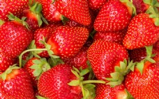 大自然草莓