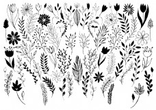 手绘黑白植物素材
