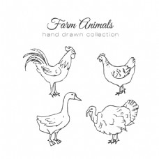 动物插图各种农场动物手绘插图