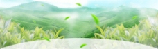 绿色植物小清新banner