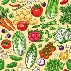 蔬菜背景