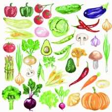 蔬菜水果蔬菜西红柿花椰菜素描手绘水果矢量图