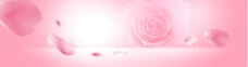 粉色花朵温馨感恩母亲节背景
