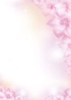 PSD素材花朵高光粉色淡雅背景素材