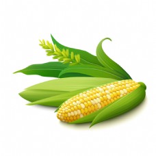 绿色蔬菜绿色玉米图片