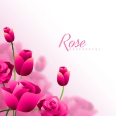 红玫瑰图案背景平面设计素材