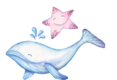 手绘彩铅可爱海洋动物