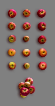 形态各异红色苹果秋季元素