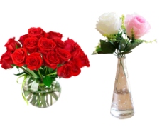 玫红色玫瑰花瓶插花ps模版素材