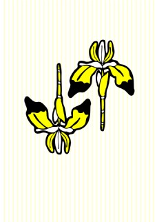 黄色花卉图案设计