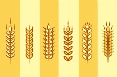 小麦手绘矢量麦穗