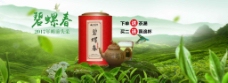 碧螺春淘宝海报背景绿色展板包装茶标签