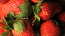 水果果实新鲜饱满草莓翠绿叶子水果距离高清视频实拍