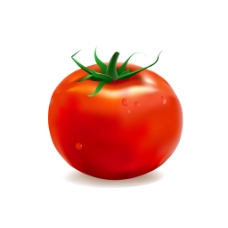 番茄西红柿矢量素材