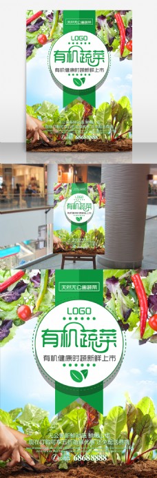 无公害有机蔬菜新鲜上市海报