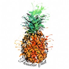 卡通菠萝水彩喷溅菠萝图片