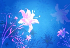 花朵蓝色背景