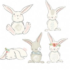 手绘花纹兔子水彩素材