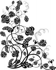 花卉花藤叶子图案设计