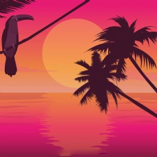 棕榈树巨嘴鸟日出广告背景素材