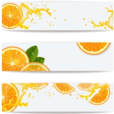 橙子与飞溅的橙汁横幅矢量素材下载