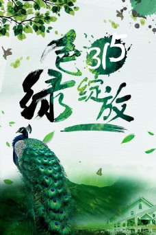 315绽放海报