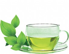 茶杯绿茶