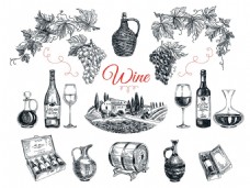 葡萄酒素描插画图片