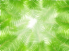 热带绿叶元素矢量背景素材