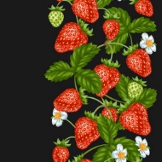 草莓植物背景素材