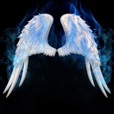 蓝色火焰翅膀