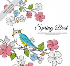 创意春季粉色花枝上的彩色鸟矢量