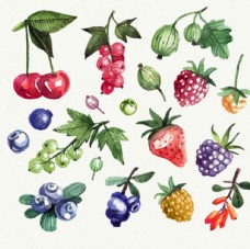 新年水果手绘水彩水果插图