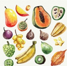 手绘各种水果水彩插图
