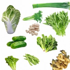 绿色蔬菜蔬菜