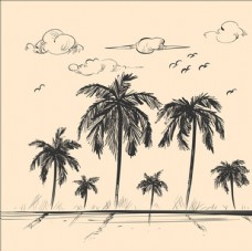 素描海滩棕榈树背景