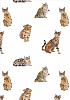 女童印花猫图案下载猫分层素材下载
