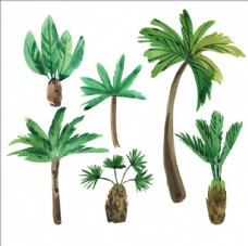 六款手绘水彩棕榈树