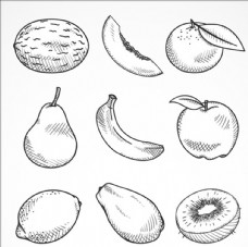 进口蔬果9个手绘素描水果