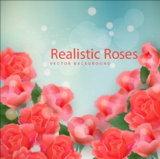 新款上市促销写实风格春季玫瑰花海报