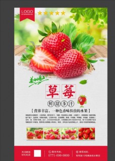 草莓展板草莓海报