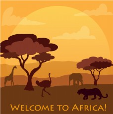非洲森林动物插画