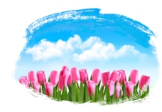广告春天蓝色的天空和郁金香的春天背景矢量