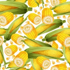 新鲜黄色玉米无缝背景图