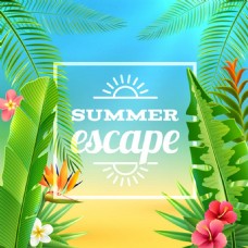 夏日暑假沙滩椰树背景图